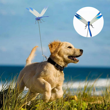 Simulation stick dragonfly clip